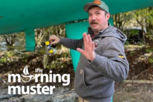 Good Surveyors are worth their price!